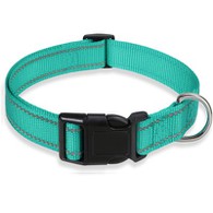 Collari per cani fantasia