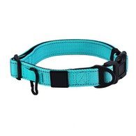 Colletto di cani viola