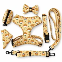 Kit da passeggio per cani in rete stampata