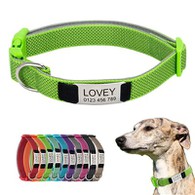 Collare per cani inciso