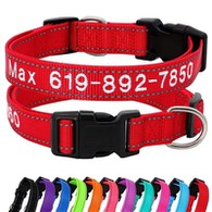 Collare per cani ricamato personalizzato