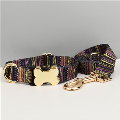 Set collare per cani con etichetta privata