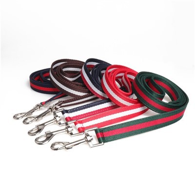 Guinzaglio per cani con etichetta privata