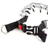 Collare per cani a punta