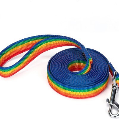 Guinzaglio per cani in nylon arcobaleno