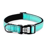 Collar per cani intelligenti